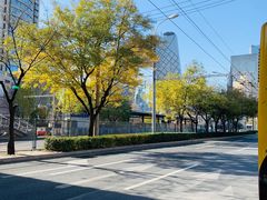 -中央广播电视总台(光华路办公区)