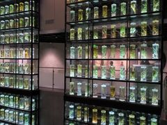 -广东中医药博物馆