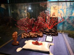 -绮丽珊瑚(台北101旗舰门市店)