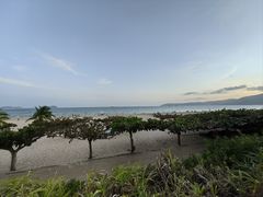 -渔家火锅·海鲜自助餐·演艺(亚龙湾天域酒店)