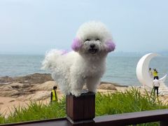 -刘公岛景区