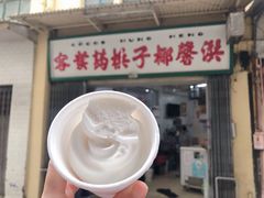 -洪馨椰子