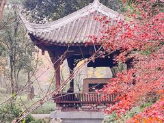 -成都杜甫草堂博物馆