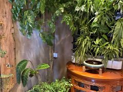 -慢丽江·云南野生菌土鸡锅(西山店)