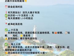-幸福门