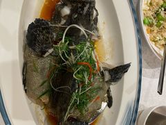 -红棉中餐厅·广州海航威斯汀酒店