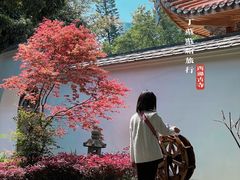 -西禅古寺售票处
