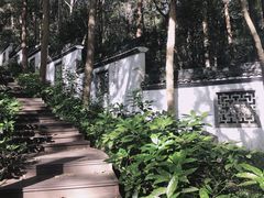 -杭州植物园