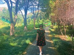 -白马涧龙池景区
