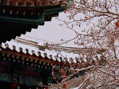 -颐和园