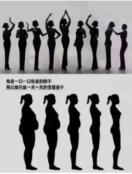-Fundi张玉珊修身堂·indiba·BTL科技瘦身