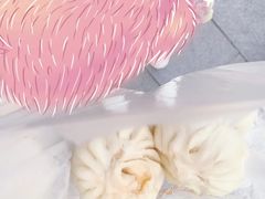 -南方迷宗大包(湖滨店)