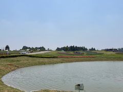-空港花田景区