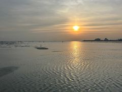 -北海金海湾红树林生态旅游区