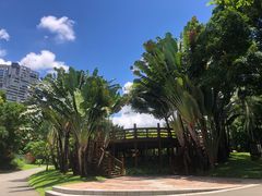 -深圳国际园林花卉博览园