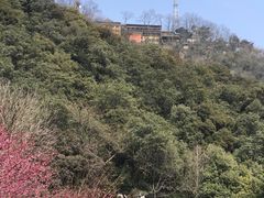 -韬光茶庵