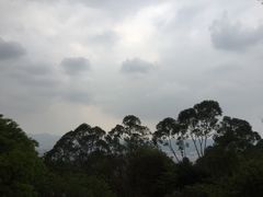 -火炉山森林公园