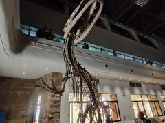 -自贡恐龙博物馆