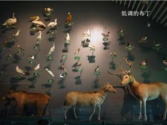 中国湿地博物馆-中国湿地博物馆