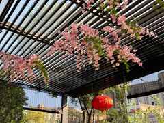 -荷风细雨·中国茶宴(碧云店)