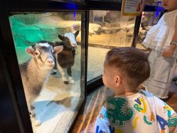 -酷嗒动物文化乐园(cutezoo西溪乐天城店)