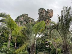 -奥兰多迪士尼动物王国乐园