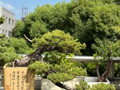 -曲阳花鸟市场(曲阳路店)