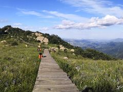 -白草畔自然风景区