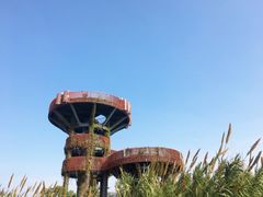 -芒洲湿地公园