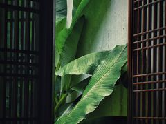 -千灯古镇