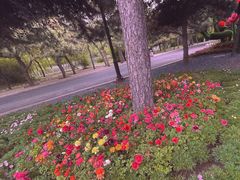 -北陵公园