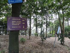 -滴水岩森林公园
