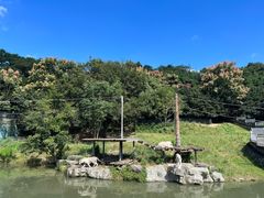 -宁波野生动物园