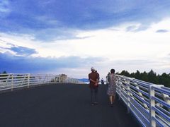 -贡湖湾湿地公园