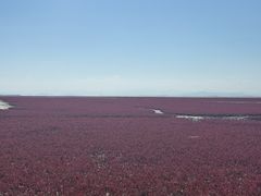 -山海广场