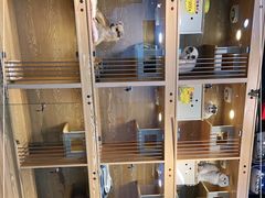 -喜狗宠物生活馆(岳州路店)