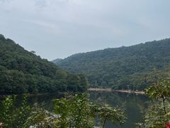 -桃花岭景区