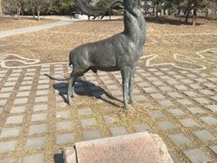 -北京麋鹿生态实验中心