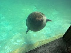 -珠海长隆海洋王国
