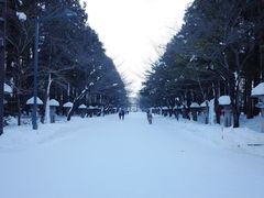 -北海道神宫
