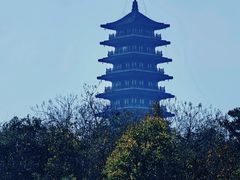 -宜兴龙背山森林公园