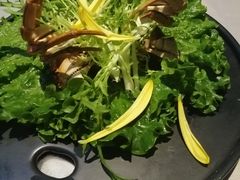 -红辣椒·川菜·火锅(朝外店)
