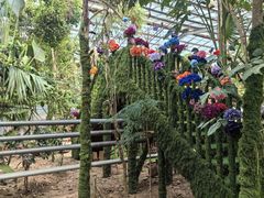 -呀路古热带植物园