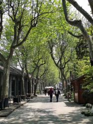 -杭州运河黄龙璀丽酒店-宴会厅