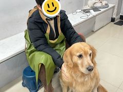 -汪说·狗咖(旺城大厦店)