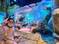 -沈阳海洋探索中心