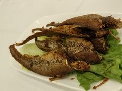 -瑞福园联谊餐室(茂名南路店)