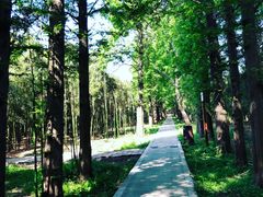 -同里国家湿地公园