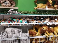 -宜家家居(哈尔滨商场店)