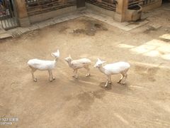 -昆明动物园